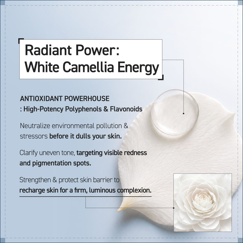 CAMELLIA CORE AMPOULE SERUM  50ml