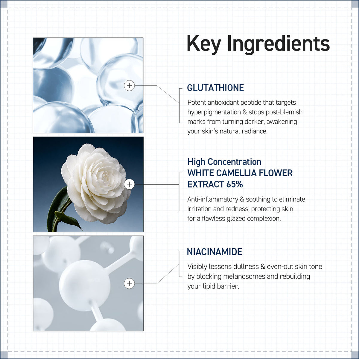 CAMELLIA CORE AMPOULE SERUM  50ml