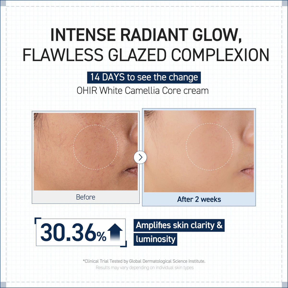 CAMELLIA CORE CREAM  50ml