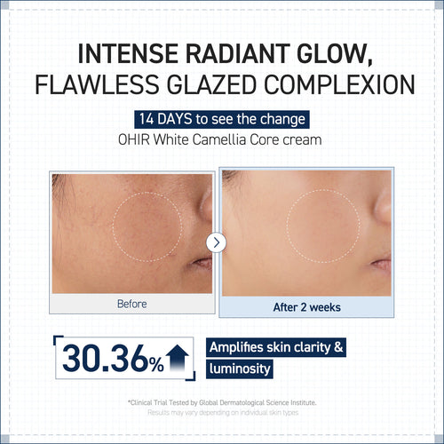 CAMELLIA CORE CREAM  50ml