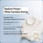 CAMELLIA CORE CREAM  50ml