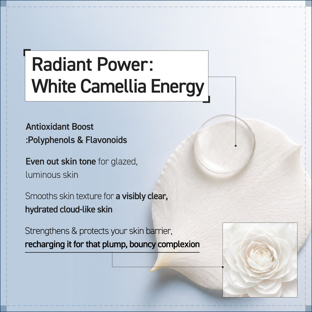 CAMELLIA CORE TONER ESSENCE  200ml