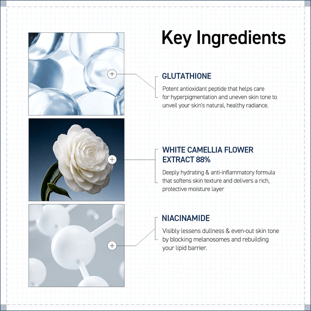 CAMELLIA CORE TONER ESSENCE  200ml