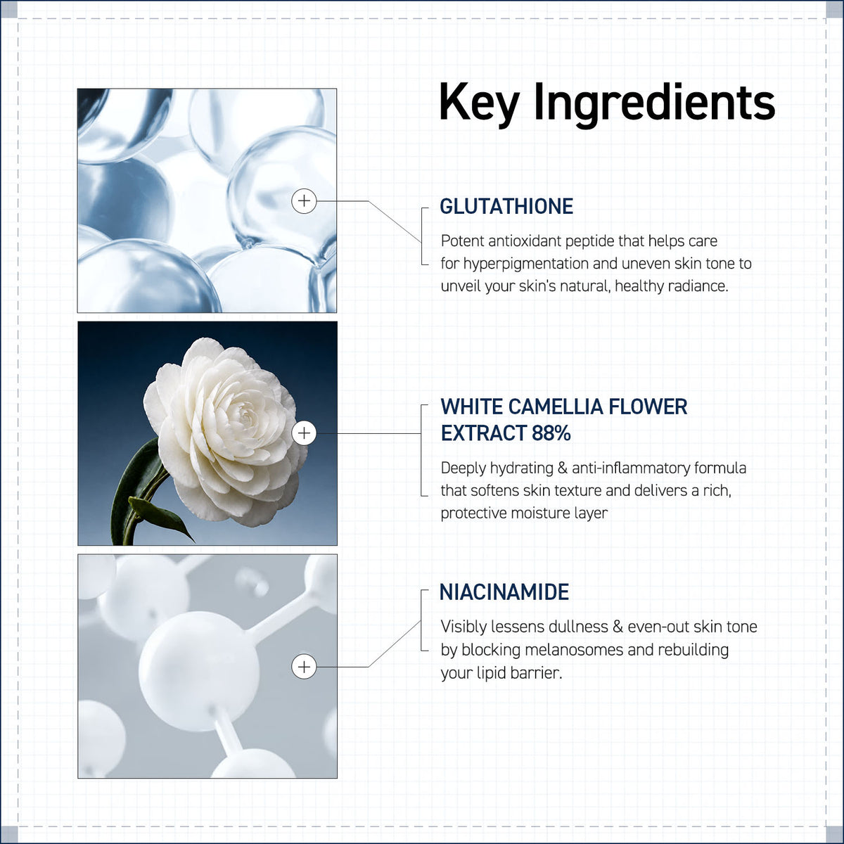 CAMELLIA CORE TONER ESSENCE  200ml
